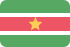 suriname icon
