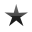 star icon