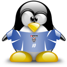 serbia,and,montenegro,penguin,animal icon