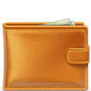 wallet icon