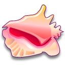 strombus,gigas icon