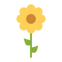 blossom, ecology, flower, nature, spring, sunflower svg vector icon