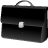 bag icon