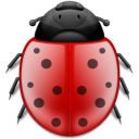 bug,animal,insect,ladybird icon