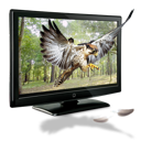 d, eagle icon