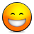 emote,biggrin icon