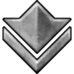 silver icon