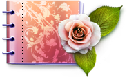 lovely,catalog,carnet,flower,love,rose,plant,valentine icon