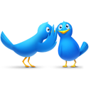 gossip,bird,twitter,animal,social network,social,sn icon