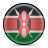 flag,kenya icon