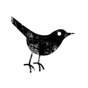 bird, twitter icon
