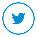 circle, media, network, social, twitter svg vector icon