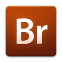 bridge icon