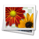 png icon