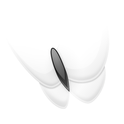 papillon,msn icon