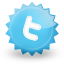 twitter,social network,social,sn icon
