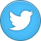 twitter icon