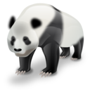 panda icon