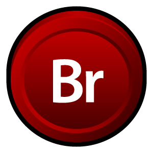 adobe,bridge,cs,badge icon