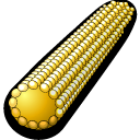 corn,food icon