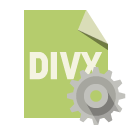 file,format,divx,gear icon