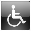 opt,accessibilit icon