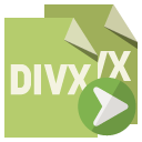 file,format,divx,right icon