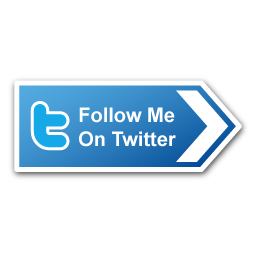 twitter,social network,social,sn icon
