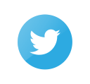 connection, media, social, tweet, twitter, web svg vector icon
