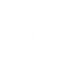 appbar,zune icon