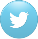 bird, new, twitter icon