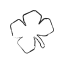 canada, growth, leaf, maple, startup svg vector icon