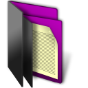 aaa 21 icon