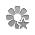 flower,star icon