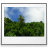 gnome,mime,image,bmp,pic,picture,photo icon