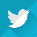 bird, communication, connection, internet, media, network, twitter icon