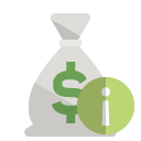 money,bag,info icon