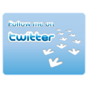 twitter,social network,social,sn icon