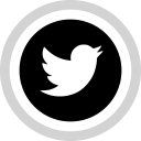 logo, media, social, twitter svg vector icon