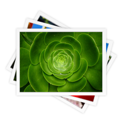 image,pic,picture,photo icon
