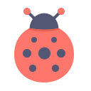 autumn, bug, insect, ladybug, spring svg vector icon