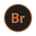 bridge icon