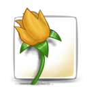illustrator icon