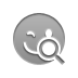 smiley,wink,zoom icon