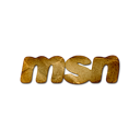 msn,logo icon