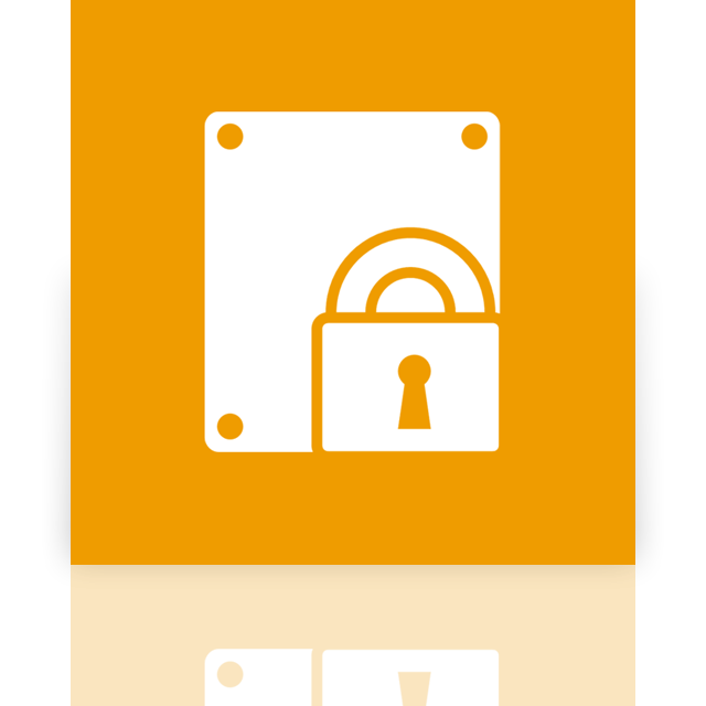 bitlocker,mirror icon