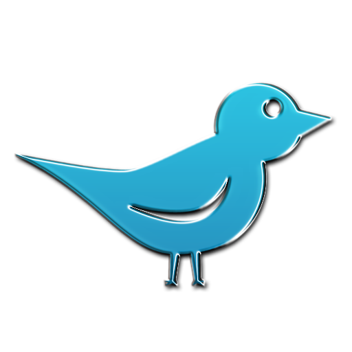bird icon