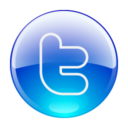 twitter,social network,social,sn icon