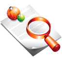 christmas,search,find,seek icon