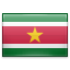 suriname icon